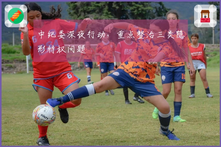 中纪委深夜行动，重点整治三类隐形特权问题